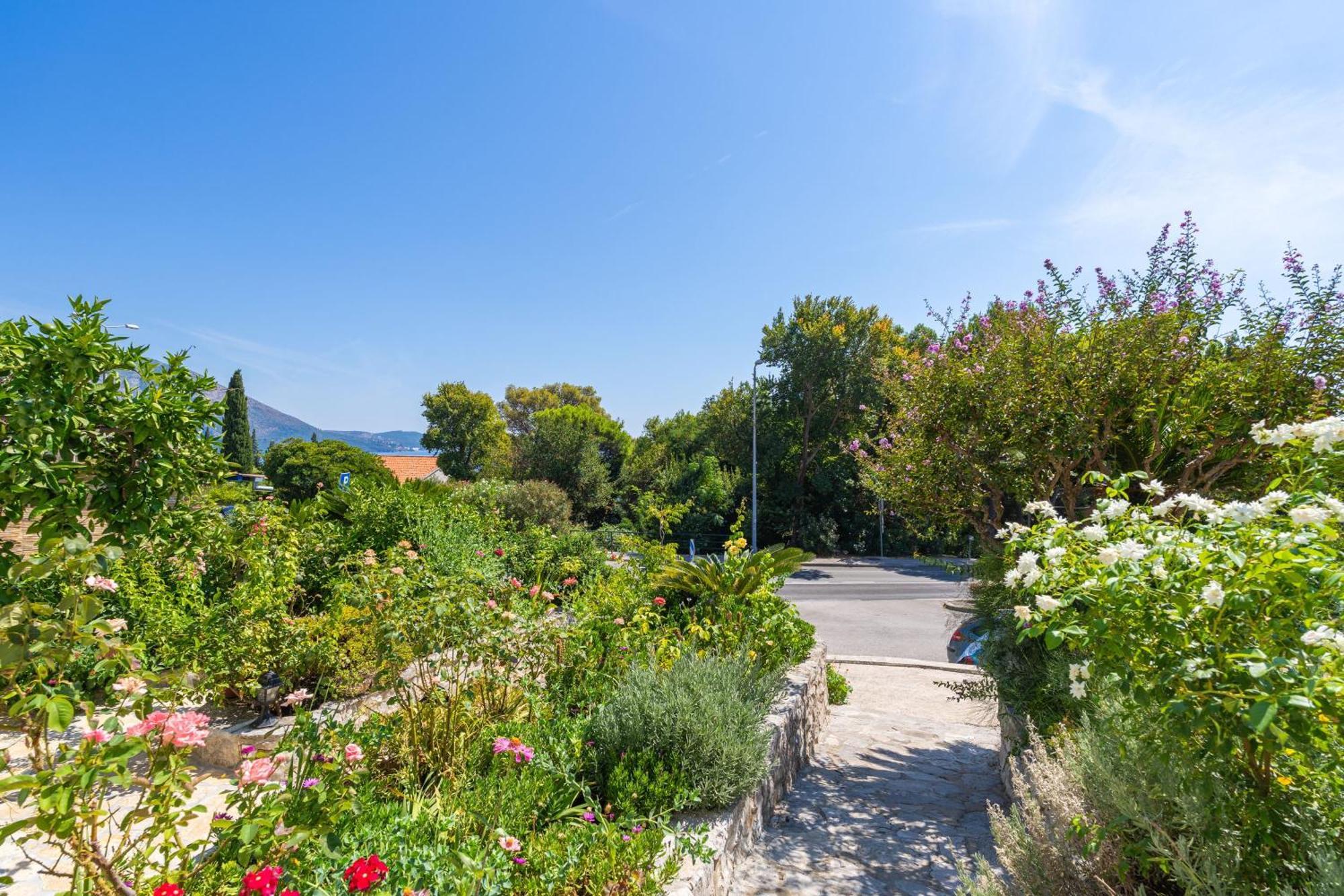 Apartments Djurkovic Mlini Zewnętrze zdjęcie